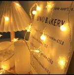 Decorative LED Light String - Image 4